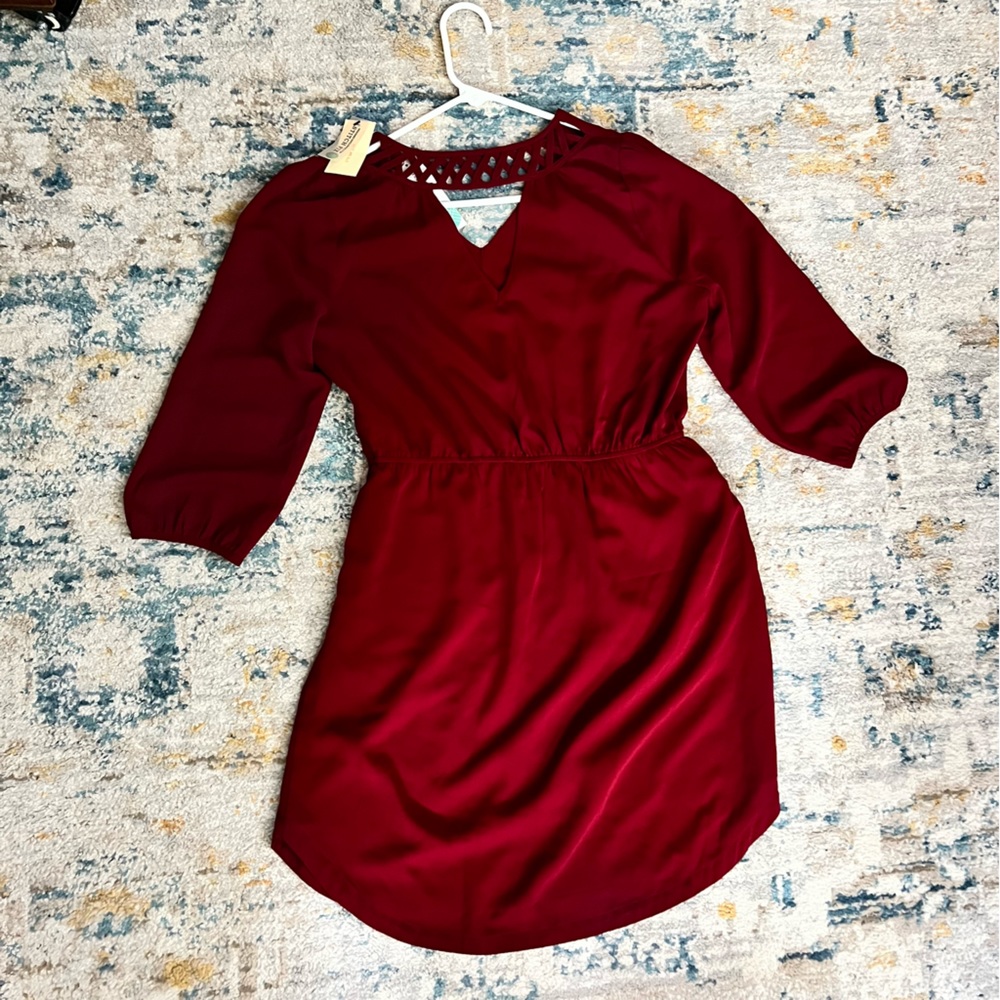 NWT burgundy dress